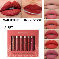 6PCS Velvet Matte Long Lasting Liquid Lip Gloss Set