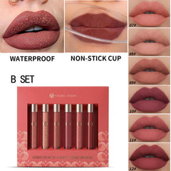 6PCS Velvet Matte Long Lasting Liquid Lip Gloss Set